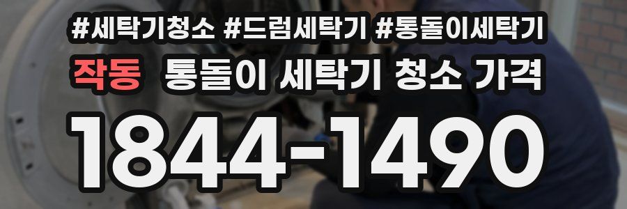작동 통돌이 세탁기 청소 가격