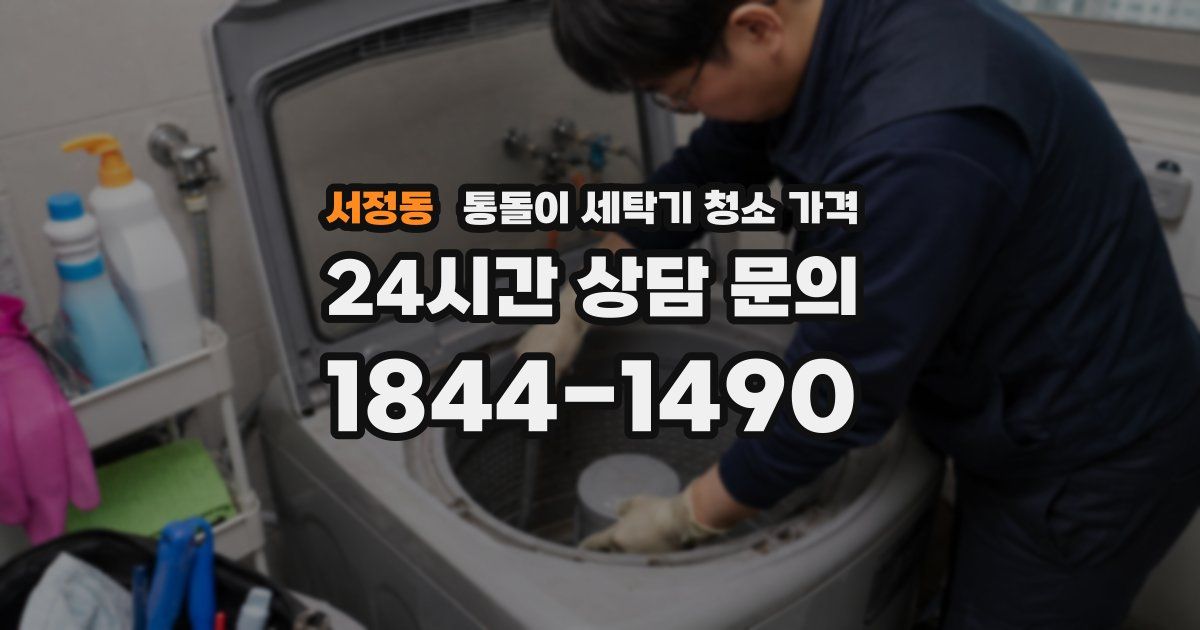 서정동 통돌이 세탁기 청소 가격