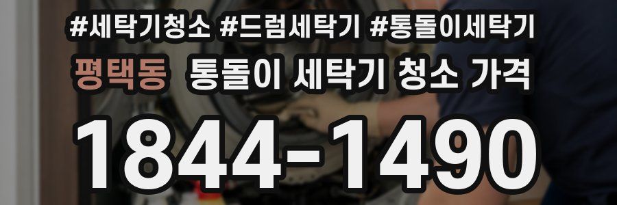 평택동 통돌이 세탁기 청소 가격