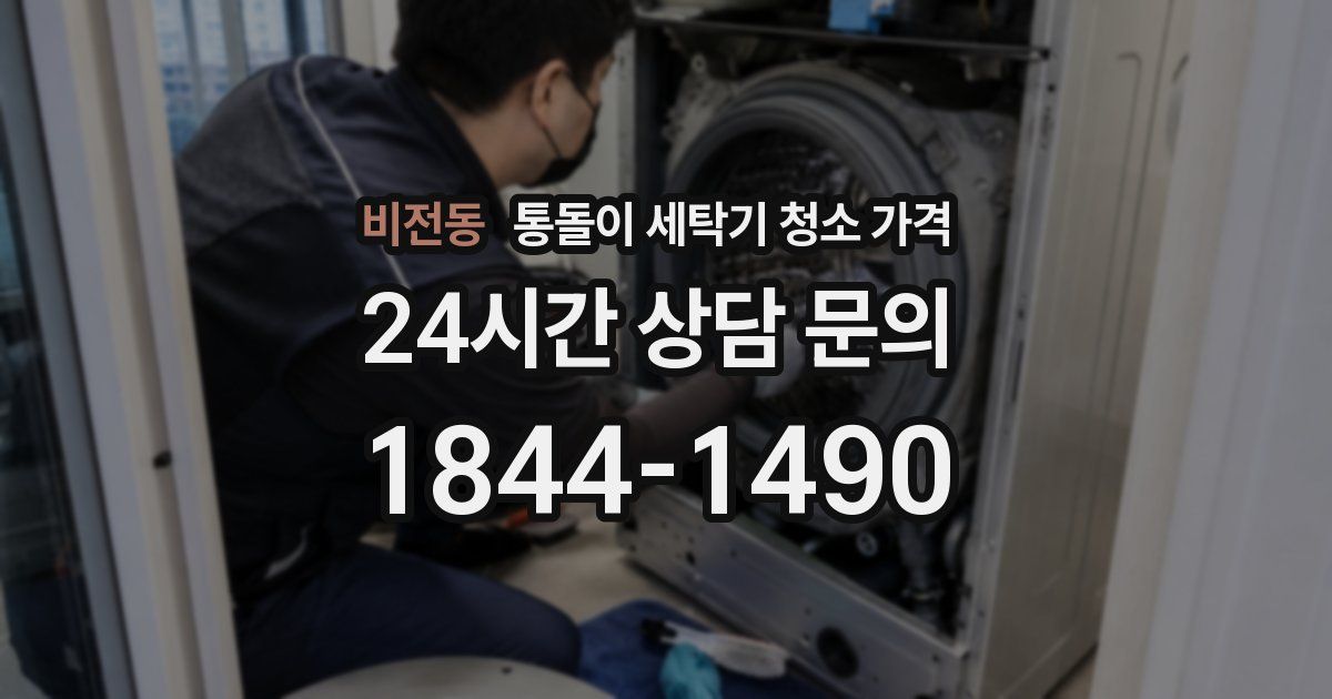 비전동 통돌이 세탁기 청소 가격