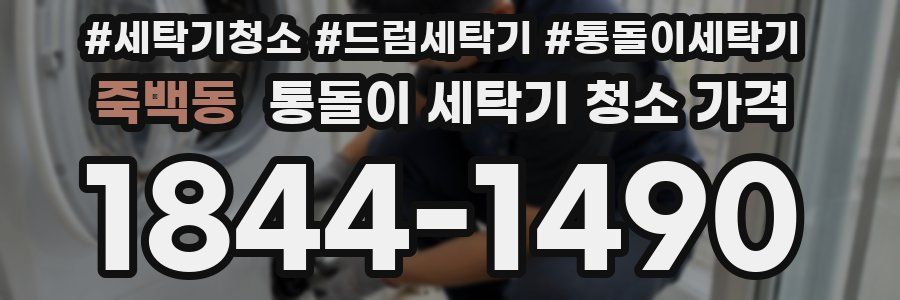 죽백동 통돌이 세탁기 청소 가격