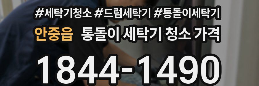 안중읍 통돌이 세탁기 청소 가격