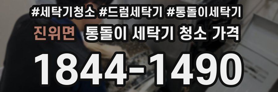 진위면 통돌이 세탁기 청소 가격