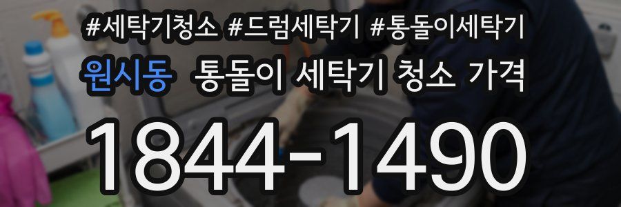 원시동 통돌이 세탁기 청소 가격