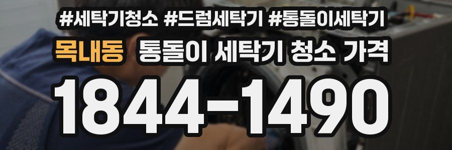 목내동 통돌이 세탁기 청소 가격