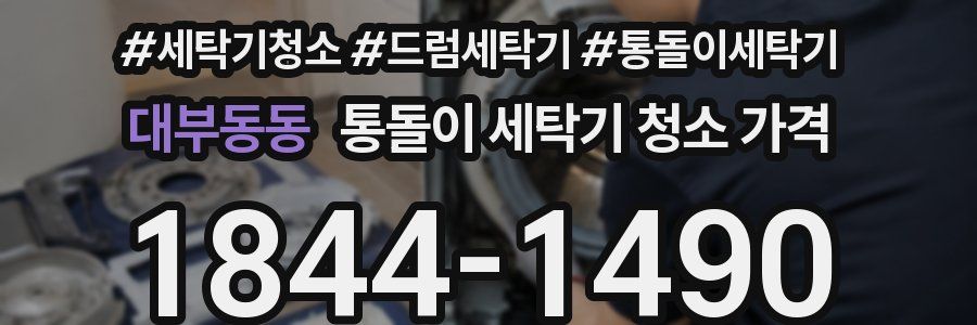 대부동동 통돌이 세탁기 청소 가격
