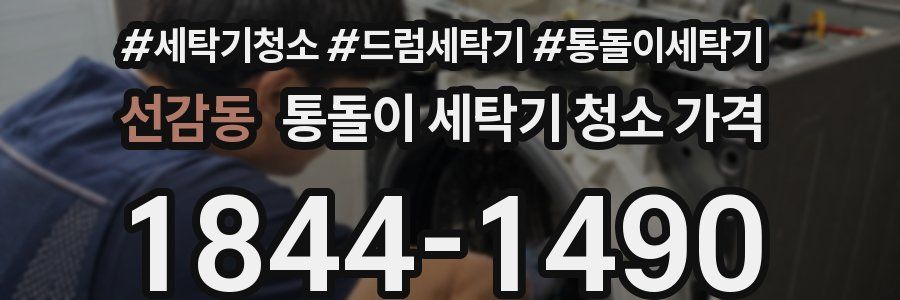 선감동 통돌이 세탁기 청소 가격