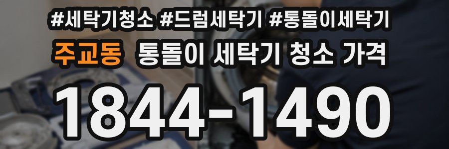 주교동 통돌이 세탁기 청소 가격