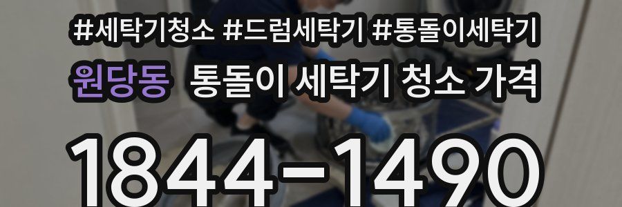원당동 통돌이 세탁기 청소 가격