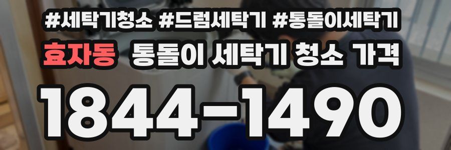 효자동 통돌이 세탁기 청소 가격