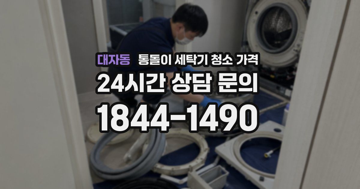 대자동 통돌이 세탁기 청소 가격