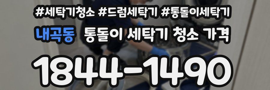 내곡동 통돌이 세탁기 청소 가격
