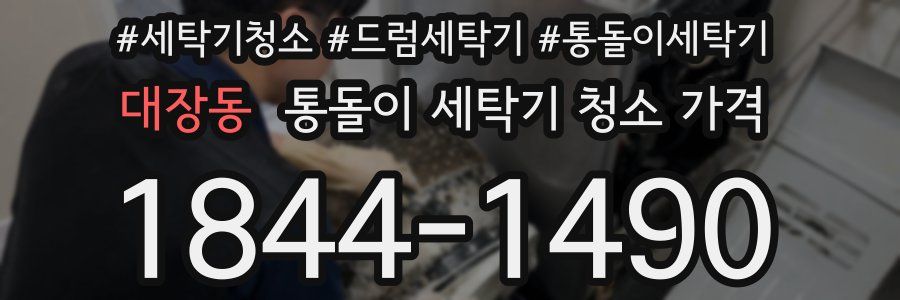 대장동 통돌이 세탁기 청소 가격