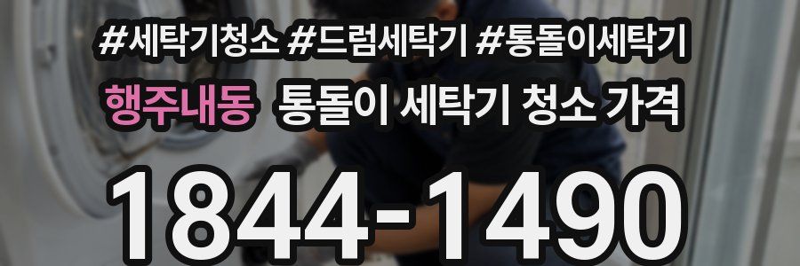 행주내동 통돌이 세탁기 청소 가격