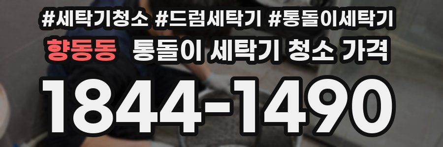 향동동 통돌이 세탁기 청소 가격