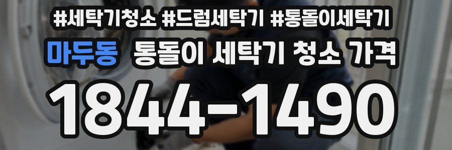 마두동 통돌이 세탁기 청소 가격
