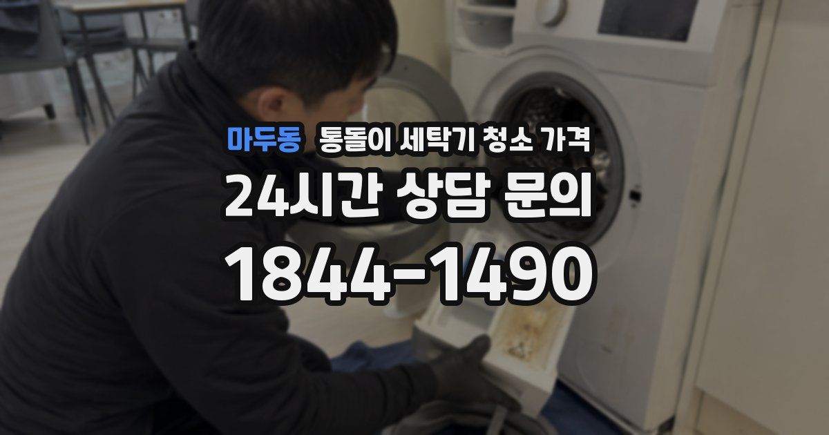 마두동 통돌이 세탁기 청소 가격