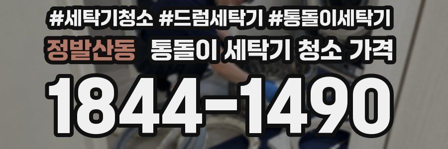 정발산동 통돌이 세탁기 청소 가격