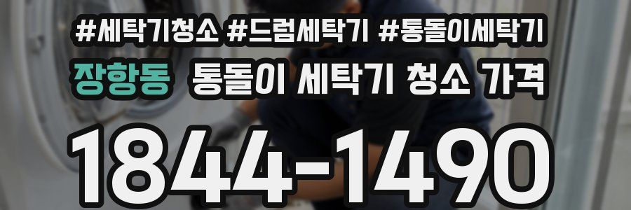 장항동 통돌이 세탁기 청소 가격