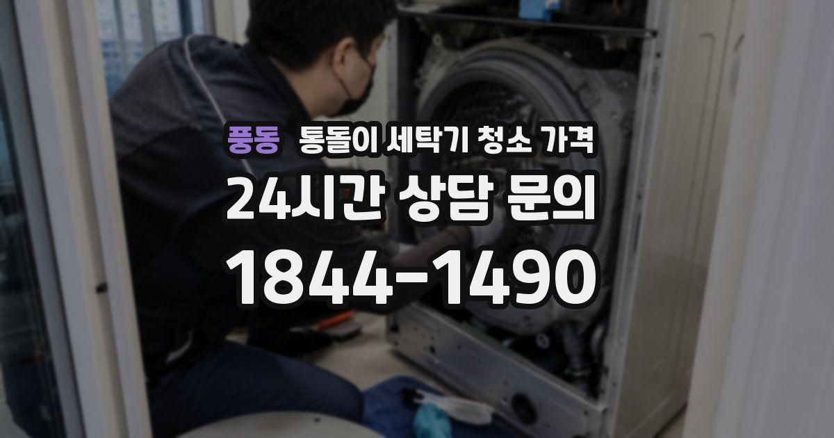 풍동 통돌이 세탁기 청소 가격