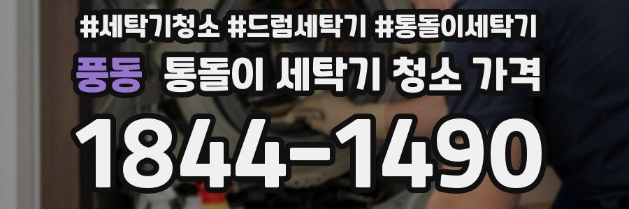 풍동 통돌이 세탁기 청소 가격