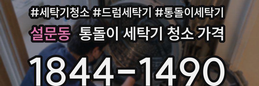 설문동 통돌이 세탁기 청소 가격