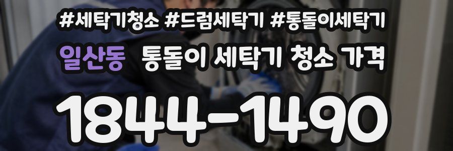 일산동 통돌이 세탁기 청소 가격