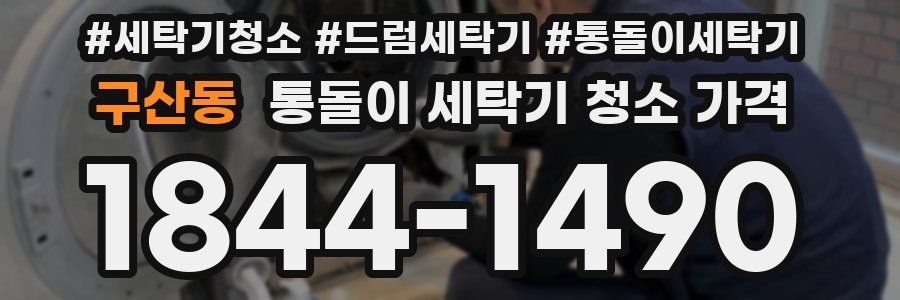구산동 통돌이 세탁기 청소 가격