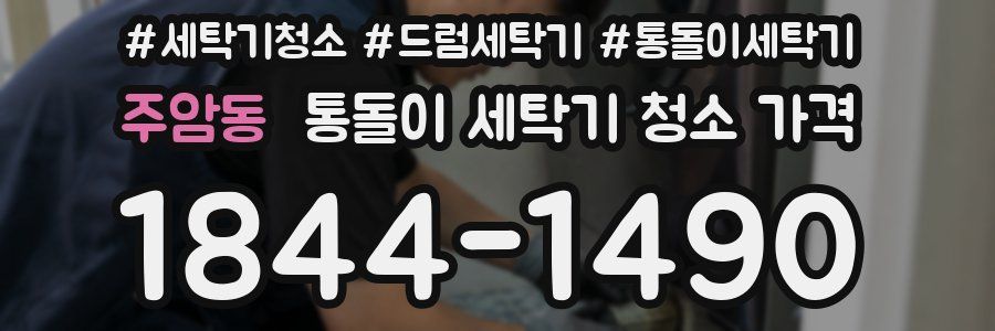 주암동 통돌이 세탁기 청소 가격