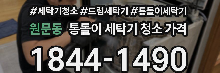 원문동 통돌이 세탁기 청소 가격