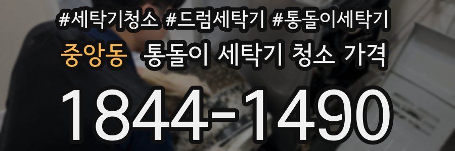 중앙동 통돌이 세탁기 청소 가격