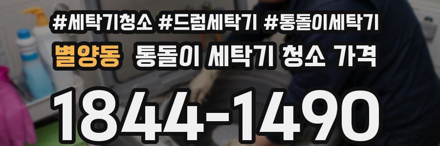 별양동 통돌이 세탁기 청소 가격