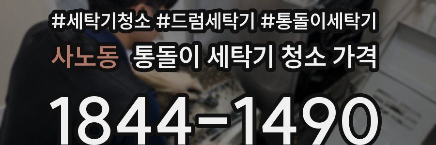 사노동 통돌이 세탁기 청소 가격