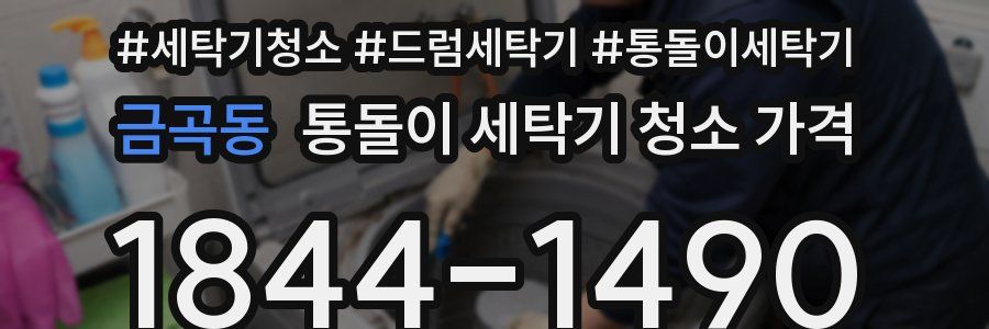금곡동 통돌이 세탁기 청소 가격