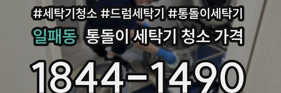 일패동 통돌이 세탁기 청소 가격