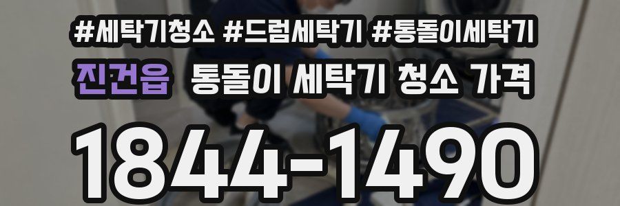 진건읍 통돌이 세탁기 청소 가격