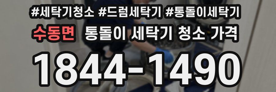 수동면 통돌이 세탁기 청소 가격