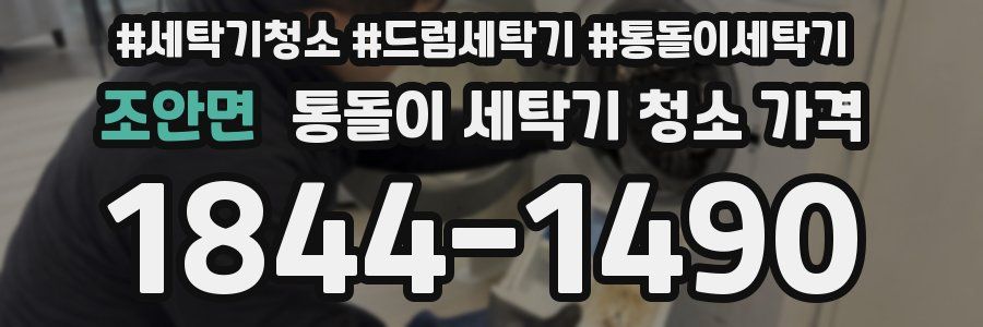 조안면 통돌이 세탁기 청소 가격