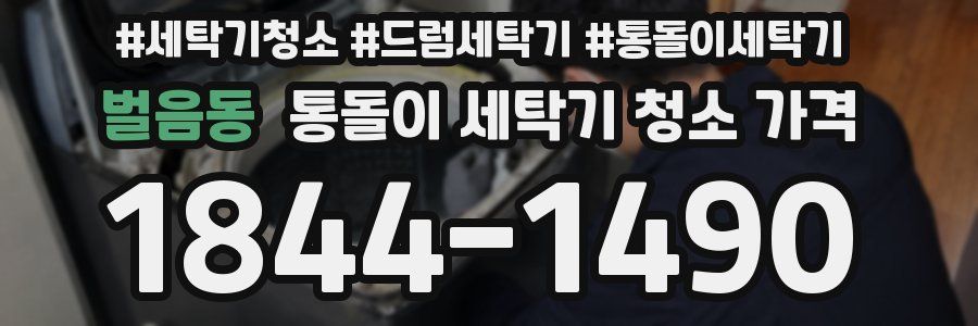 벌음동 통돌이 세탁기 청소 가격