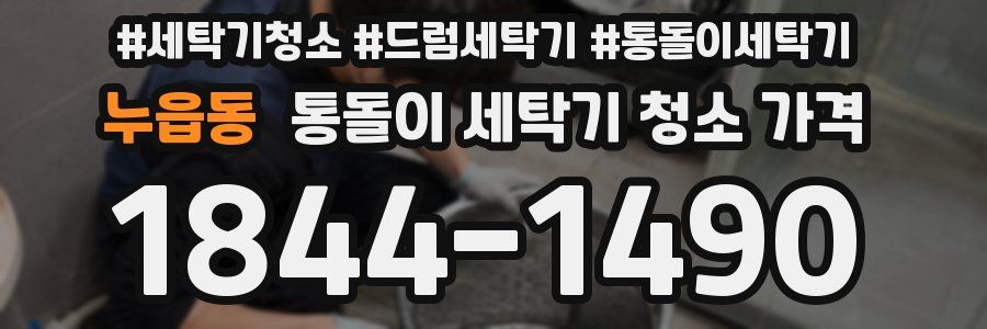 누읍동 통돌이 세탁기 청소 가격
