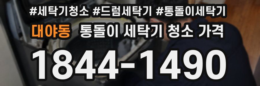 대야동 통돌이 세탁기 청소 가격
