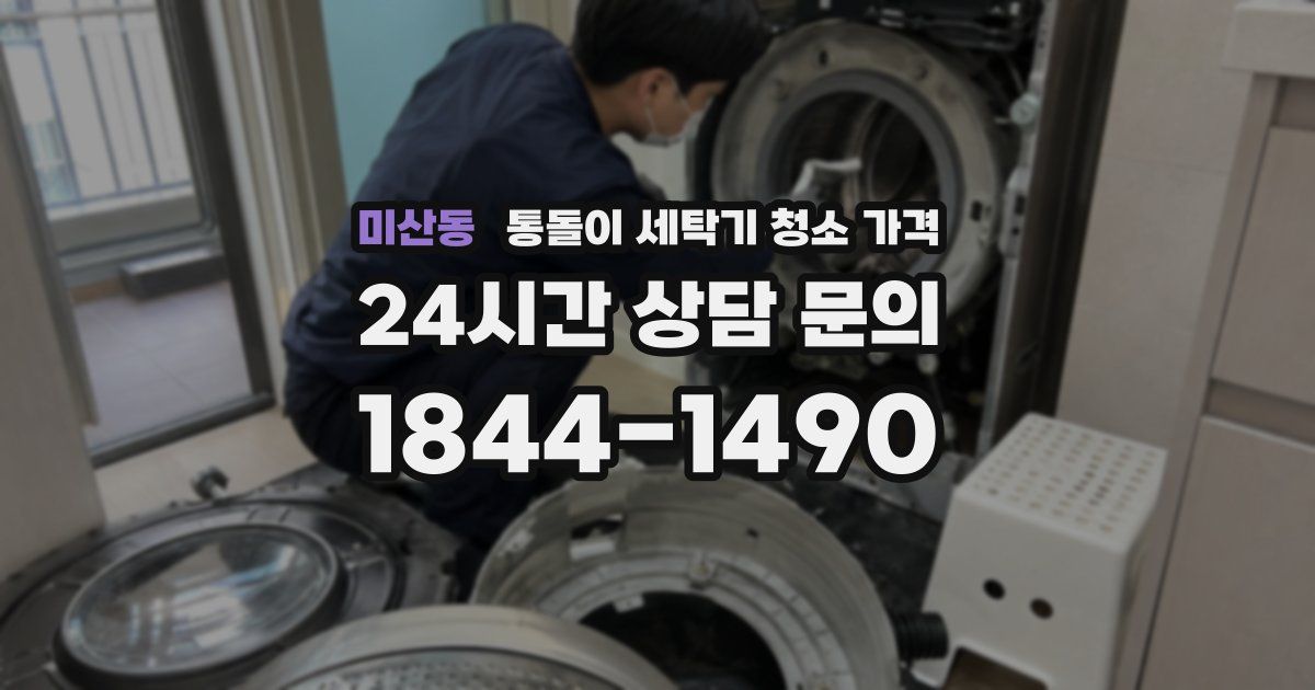 미산동 통돌이 세탁기 청소 가격