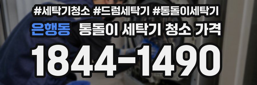 은행동 통돌이 세탁기 청소 가격