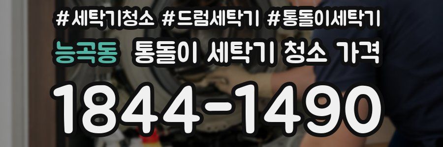 능곡동 통돌이 세탁기 청소 가격
