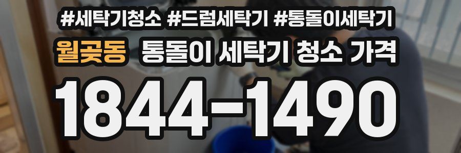 월곶동 통돌이 세탁기 청소 가격