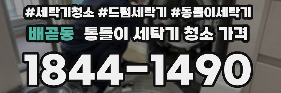 배곧동 통돌이 세탁기 청소 가격