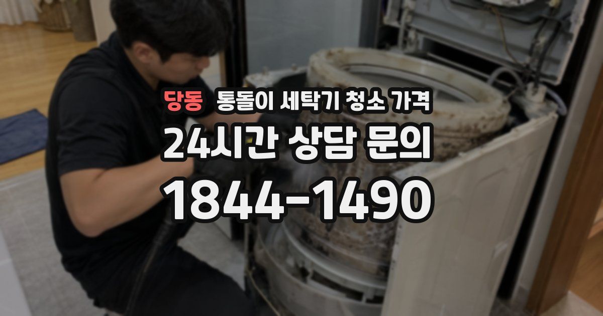당동 통돌이 세탁기 청소 가격