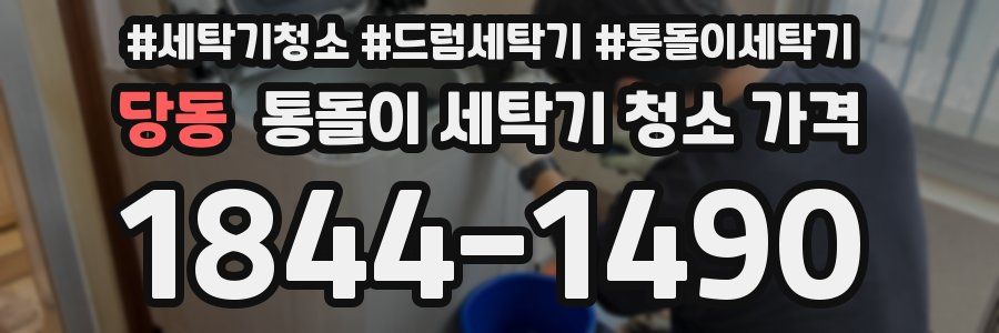 당동 통돌이 세탁기 청소 가격