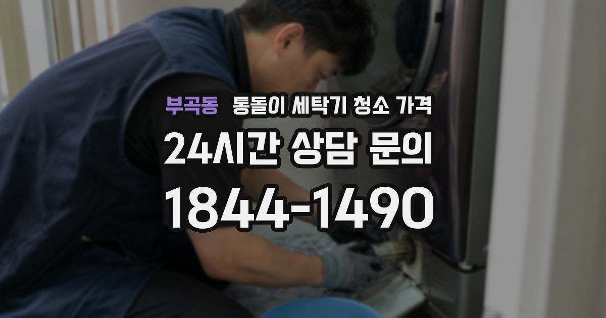 부곡동 통돌이 세탁기 청소 가격