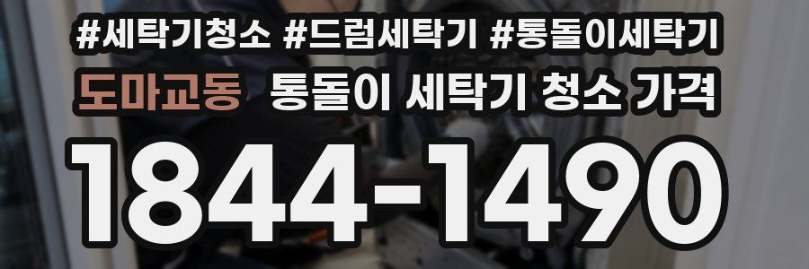 도마교동 통돌이 세탁기 청소 가격